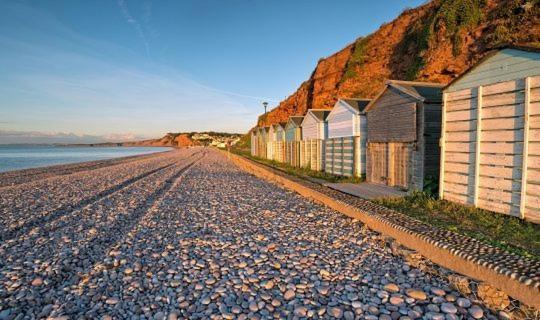 The Lawns B & B Budleigh Salterton Exteriör bild